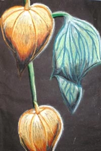 Malton School Art Exhibition 2008